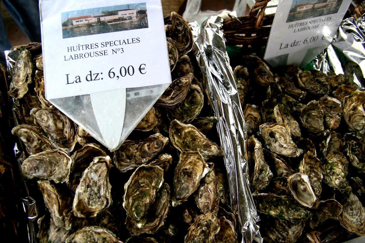 Bordeaux Village 布拉耶圣卢斯 外观 照片